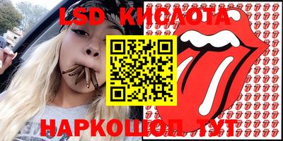 стаф Свободный