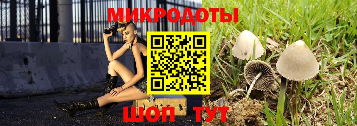 Псилоцибиновые грибы Cubensis Сатка